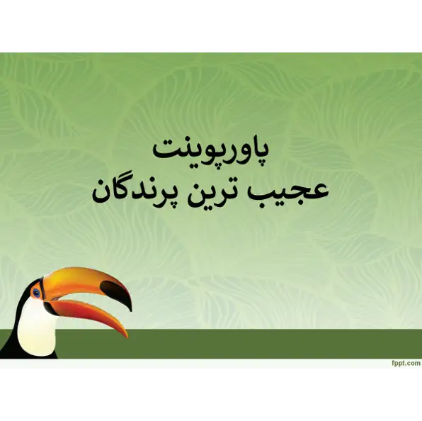 دانلود پاورپوینت عجیب ترین پرندگان